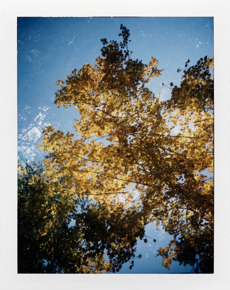 eric_martin_photography_kalidescopic-fall_000