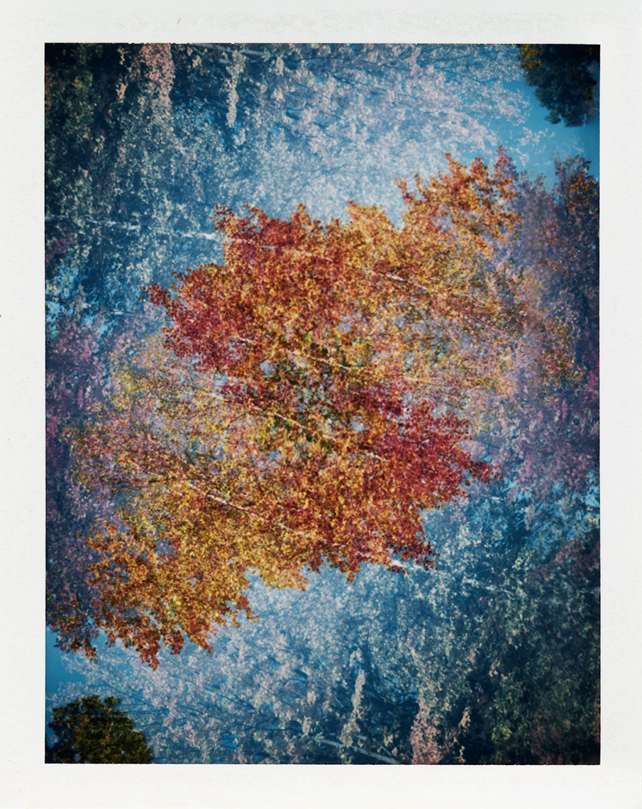 eric_martin_photography_kalidescopic-fall_013