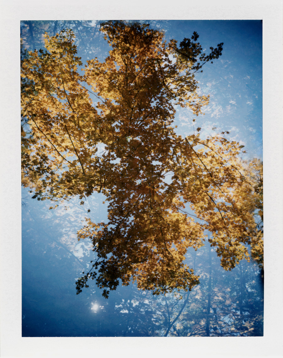 eric_martin_photography_kalidescopic-fall_014