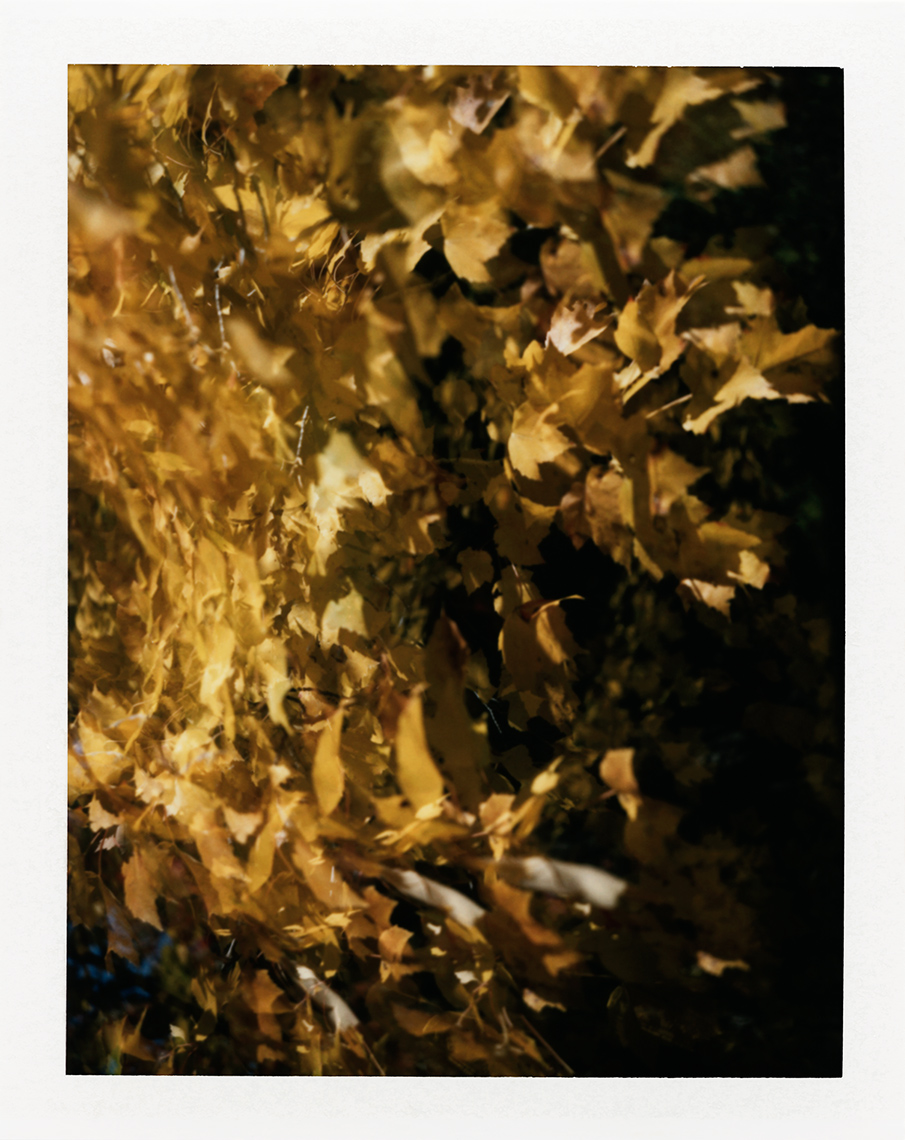 eric_martin_photography_kalidescopic-fall_035