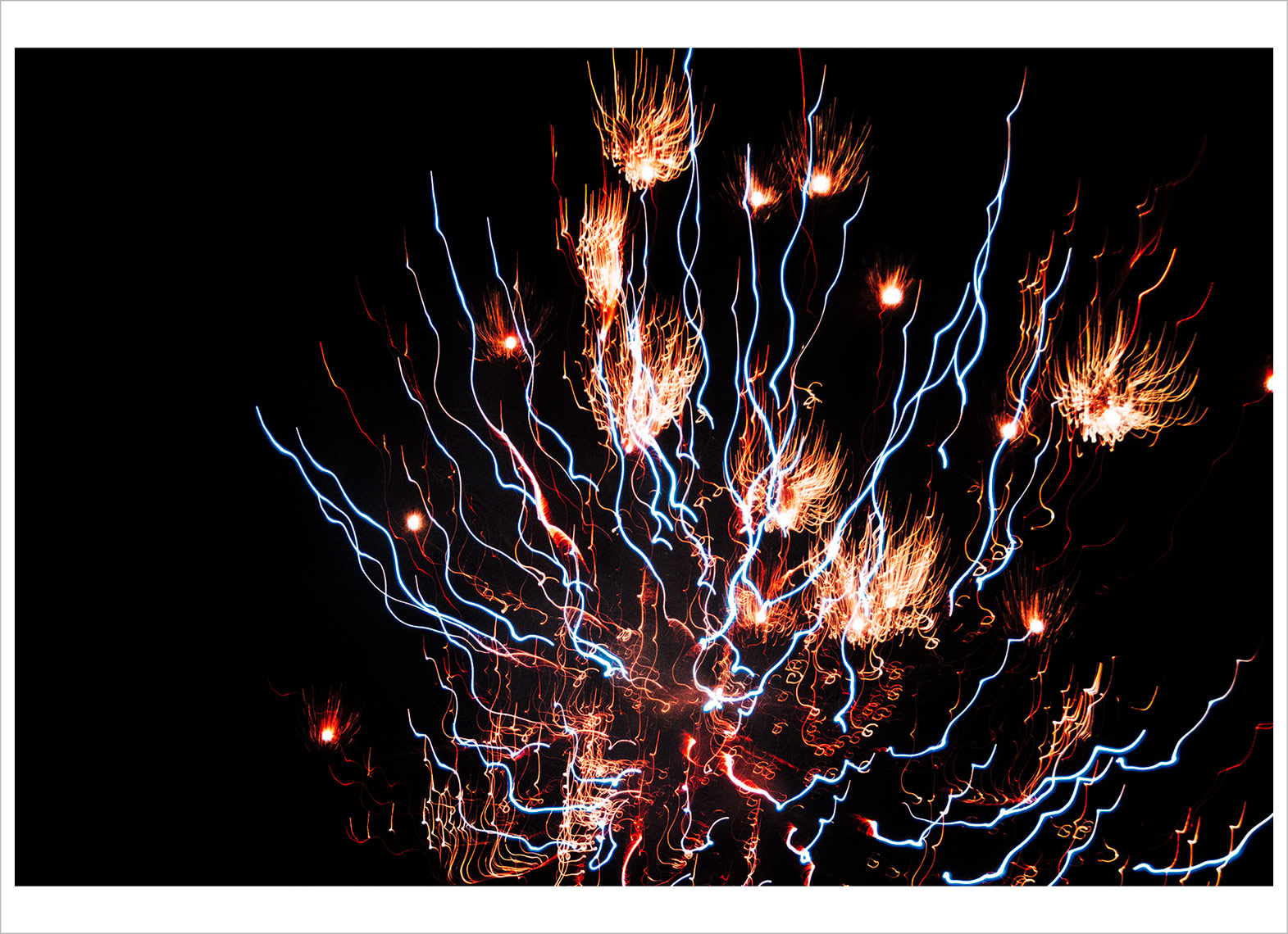 ericmartinphotography_aquaticelectric_0062