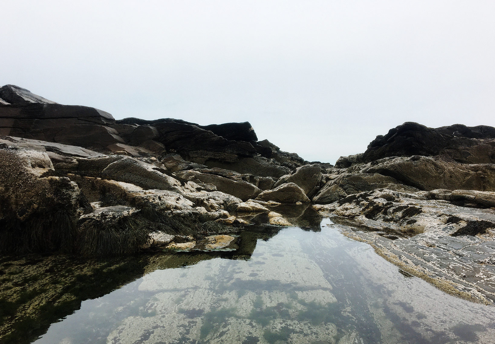 ericmartinphotography_walkabout_2017_0601_1416